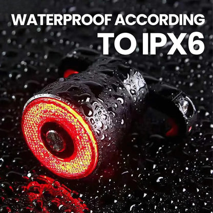 Auto Brake Detection & USB Rechargeable Rear Light